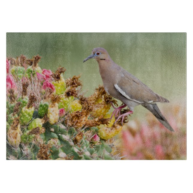 Dove på en Cactus (Framsidan)