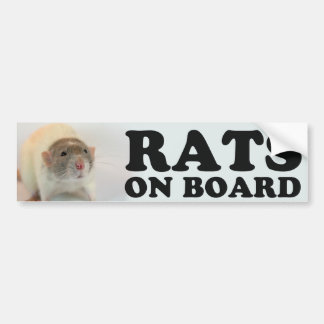 (Dove) Rats on board Bildekal