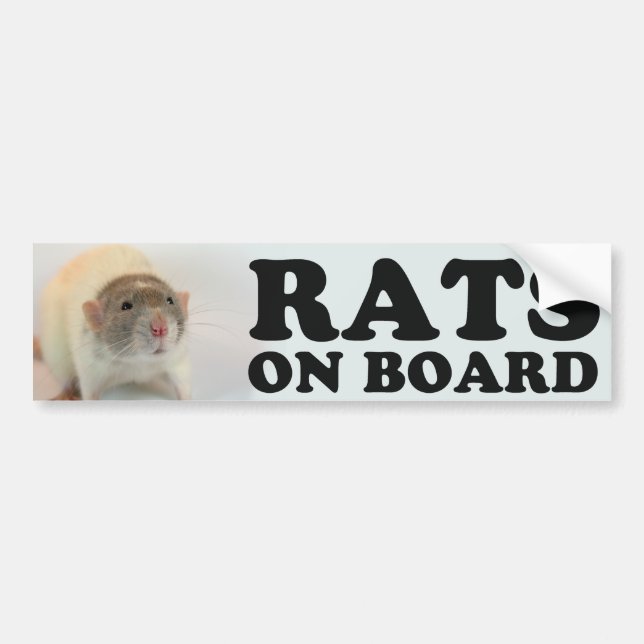 (Dove) Rats on board Bildekal (Framsidan)