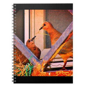 Dove Romantik Anteckningsbok