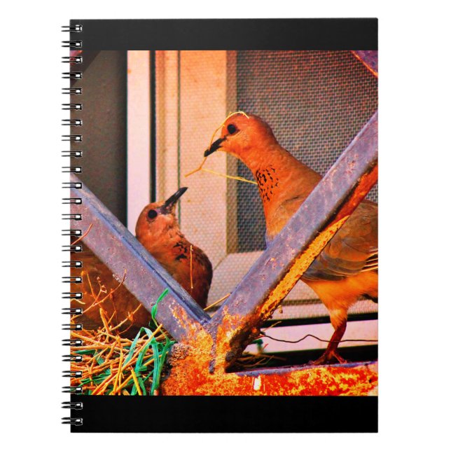 Dove Romantik Anteckningsbok (Framsidan)