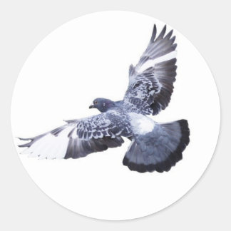 Dove Round Sticker Runt Klistermärke