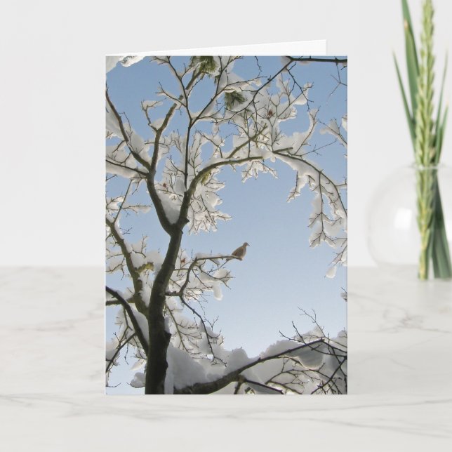 Dove svarar, "Noel". Helgkort (Framsida)