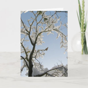 Dove svarar, "Noel". Helgkort