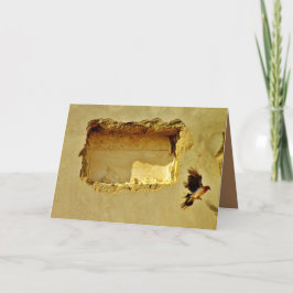 Dove under flygning kort