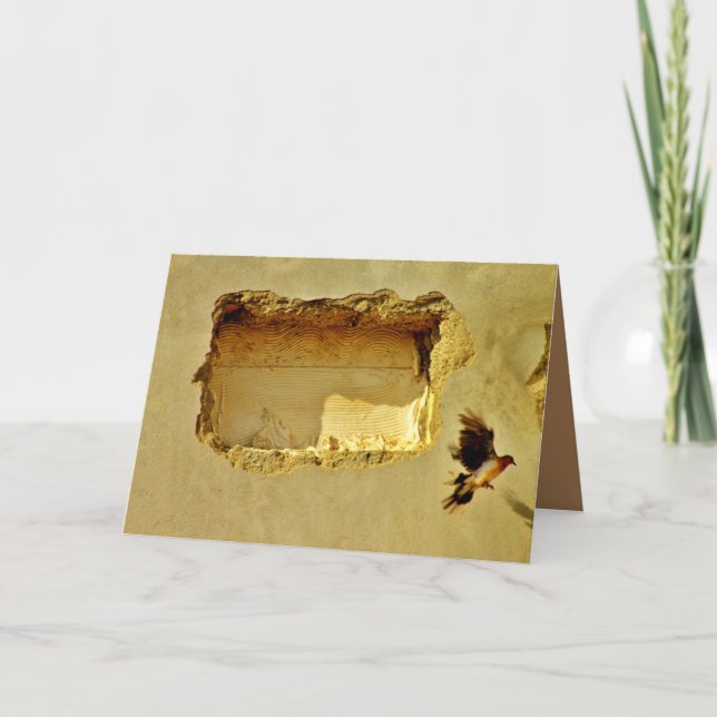 Dove under flygning kort (Framsida)