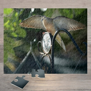 Dove Vingar Spread Birdfeeder Photographic Bird Pussel