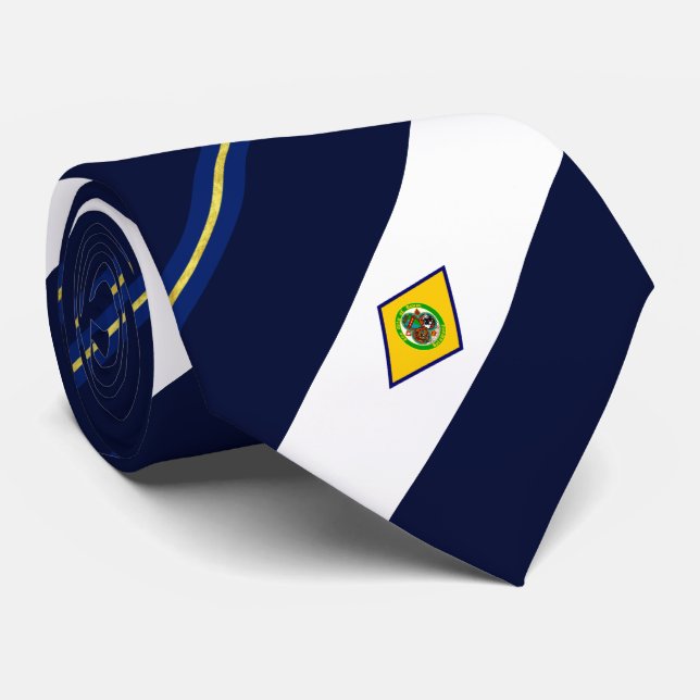 Dover (Delaware) city flagga Neck Tie Slips (Rullad)