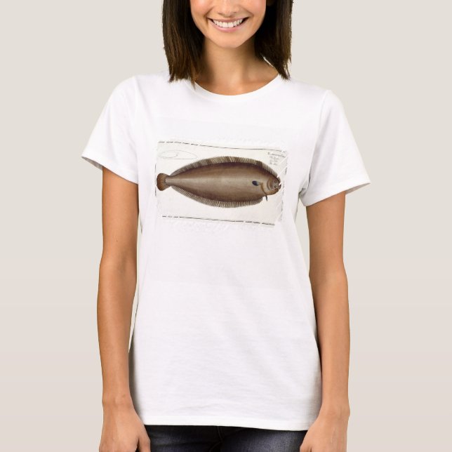 Dover Sole (Solea Solaea) plate XLV från "Ichthyol Tee Shirt (Framsida)