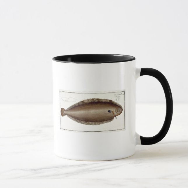 Dover sular (soleaen Solaea) pläterar XLV från Mugg (Höger)