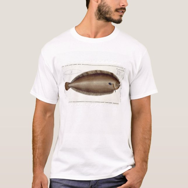 Dover sular (soleaen Solaea) pläterar XLV från T Shirt (Framsida)