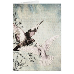 Doves Bröllop Gratulerarare Hälsningskort