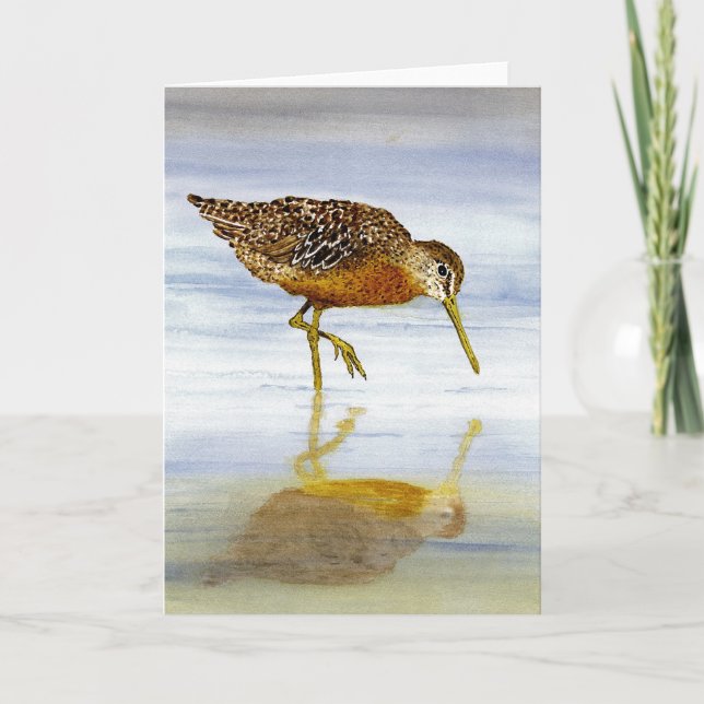 Dowitcher-kort för kort (Framsida)