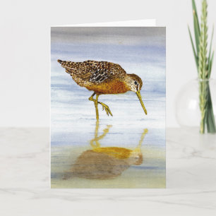 Dowitcher-kort för kort