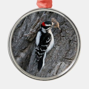 Downey Woodpecker Julgransprydnad Metall