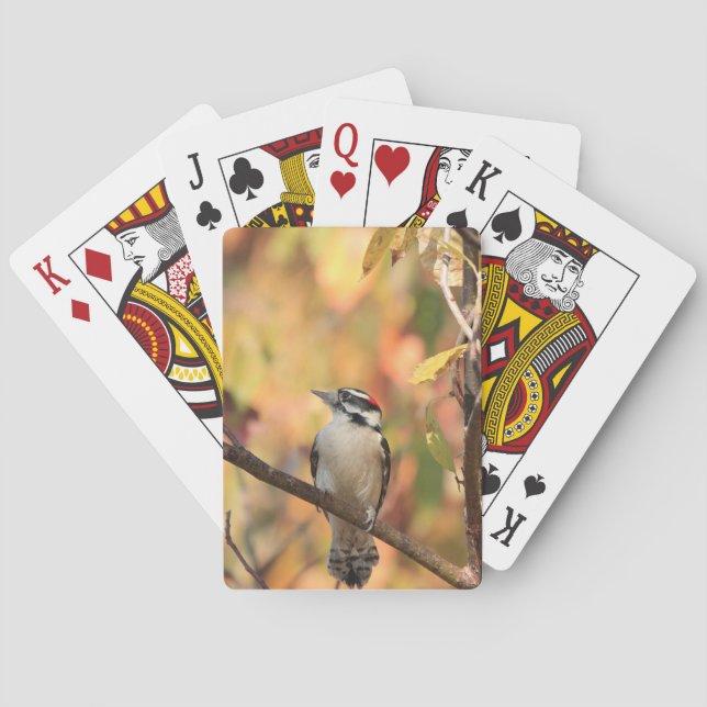 Downey woodpecker-kort casinokort (Baksidan)