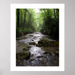 Downstream Poster