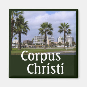 Downtown Corpus Christi Texas Souvenir Magnet