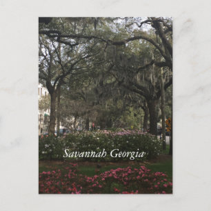 Downtown Savannah Georgia Vykort