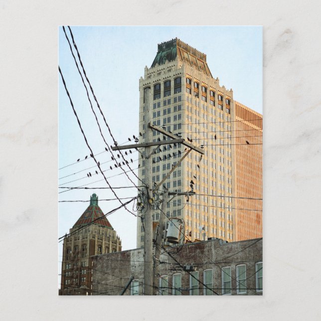 Downtown Tulsa med fåglar Vykort (Framsida)