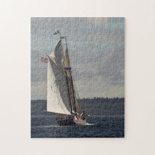 Downwind Schooner Pussel (Vertikal)