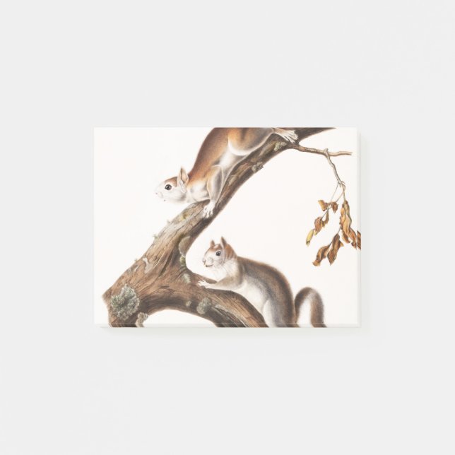 Downy Brown Squirrel House Post-it Block (Framsida)