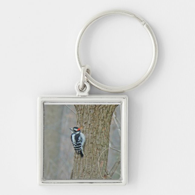 Downy Woodpecker-artiklar Fyrkantig Silverfärgad Nyckelring (Framsidan)