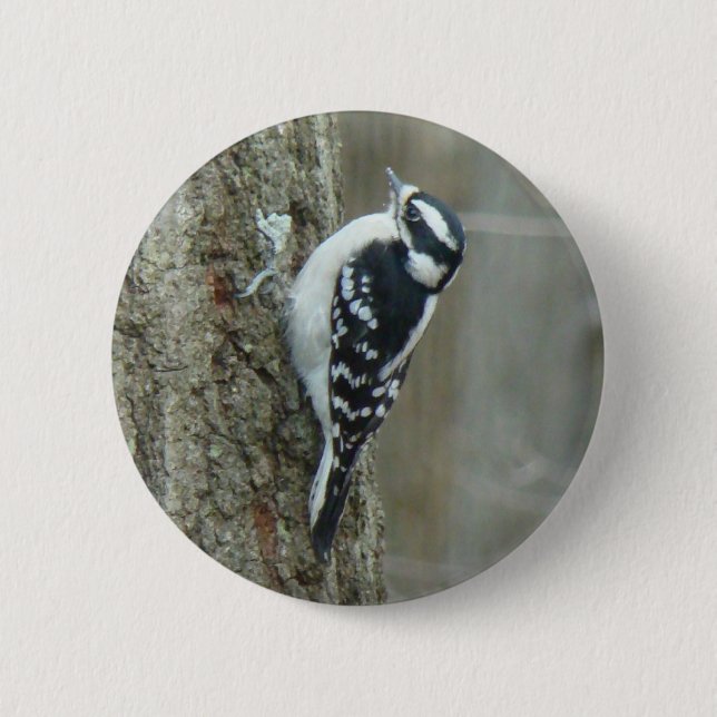 Downy Woodpecker-artiklar Knapp (Framsida)