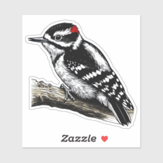 Downy Woodpecker bird Anpassningsbar-cut Vinyl Sti Klistermärken