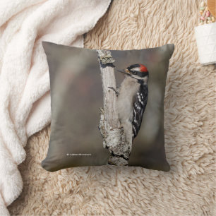 Downy Woodpecker Bird på Gren Kudde