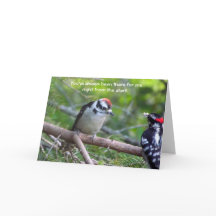 Downy Woodpecker Card för en förälder eller vårdna