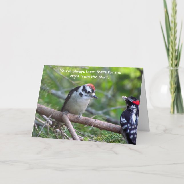 Downy Woodpecker Card för en förälder eller vårdna Tack Kort (Framsida)