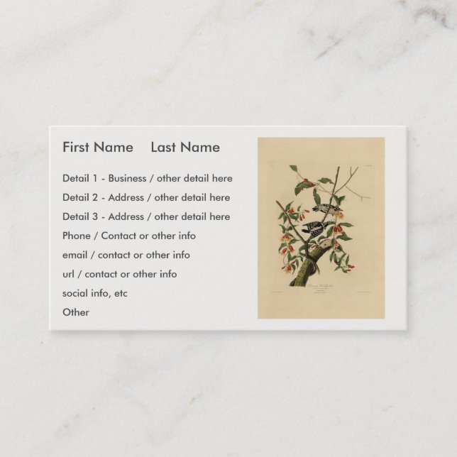 Downy Woodpecker - från Audubon's Birds of America Visitkort (Framsida)