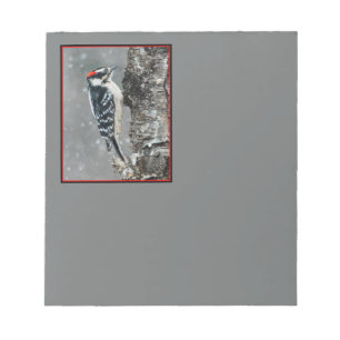 Downy Woodpecker i Snö - Originalfotografi Anteckningsblock