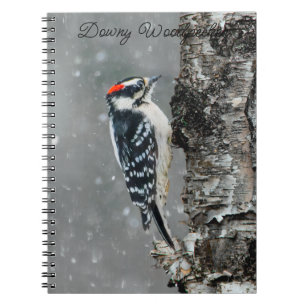 Downy Woodpecker i Snö - Originalfotografi Anteckningsbok