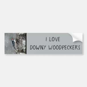Downy Woodpecker i Snö - Originalfotografi Bildekal