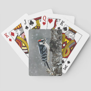 Downy Woodpecker i Snö - Originalfotografi Casinokort