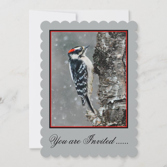Downy Woodpecker i Snö - Originalfotografi Inbjudningar (Framsida)