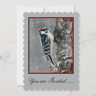 Downy Woodpecker i Snö - Originalfotografi Inbjudningar