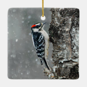 Downy Woodpecker i Snö - Originalfotografi Julgransprydnad Keramik