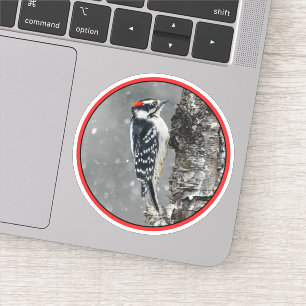 Downy Woodpecker i Snö - Originalfotografi Klistermärken