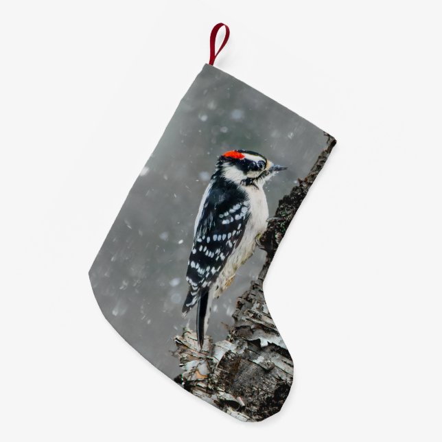 Downy Woodpecker i Snö - Originalfotografi Liten Julstrumpa (Framsidan (Hängande))