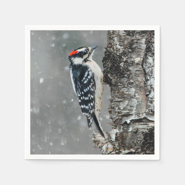 Downy Woodpecker i Snö - Originalfotografi Pappersservett (Framsidan)