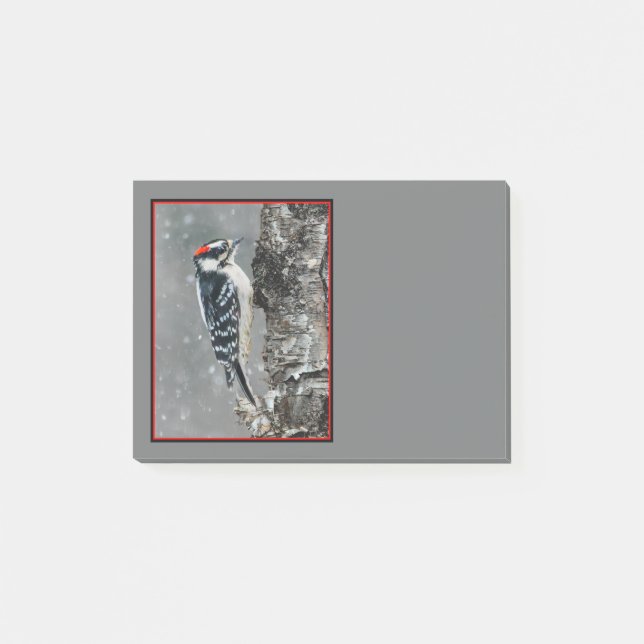 Downy Woodpecker i Snö - Originalfotografi Post-it Block (Framsida)