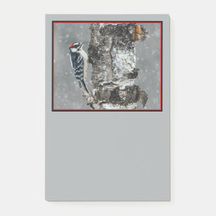 Downy Woodpecker i Snö - Originalfotografi Post-it Block