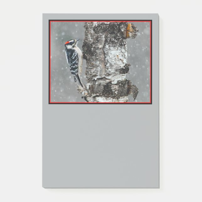 Downy Woodpecker i Snö - Originalfotografi Post-it Block (Framsida)