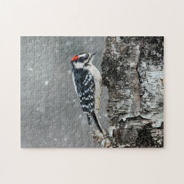 Downy Woodpecker i Snö - Originalfotografi Pussel (Horisontell)