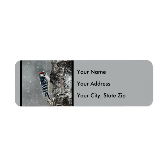 Downy Woodpecker i Snö - Originalfotografi Returadress Etikett (Framsidan)