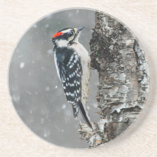 Downy Woodpecker i Snö - Originalfotografi Underlägg