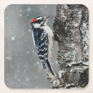 Downy Woodpecker i Snö - Originalfotografi Underlägg Papper Kvadrat